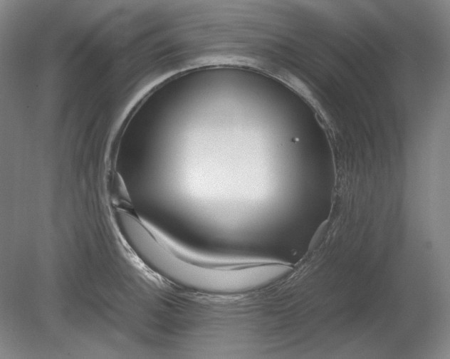 X0000080801140200701021243