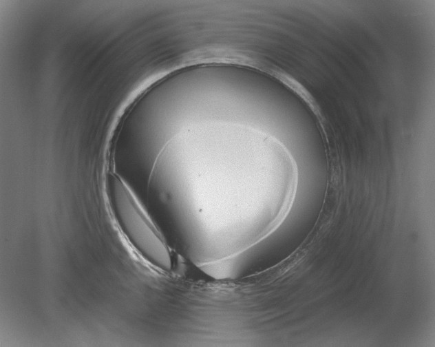 X0000080801144200701021243