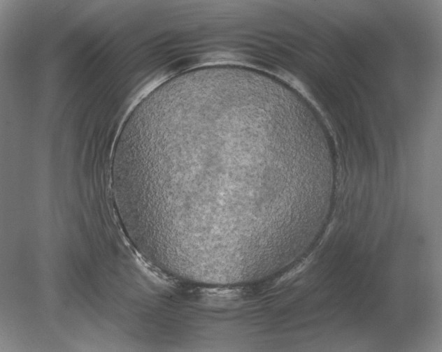 X0000080801145200701021243