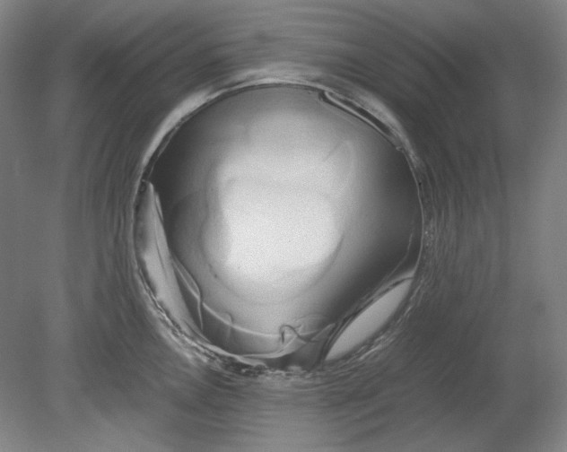 X0000080801146200701021243