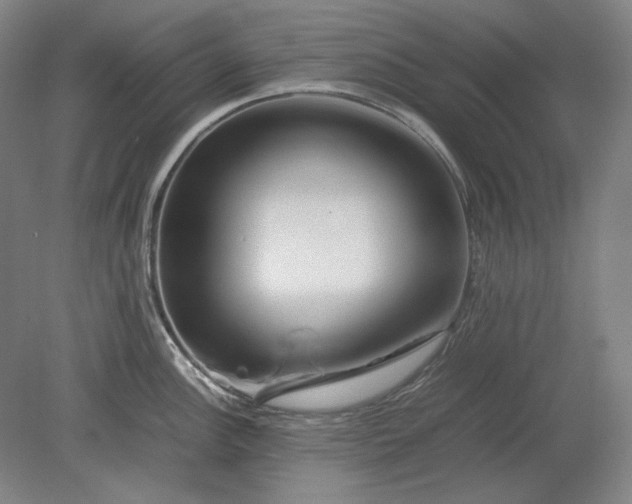 X0000080801148200701021243