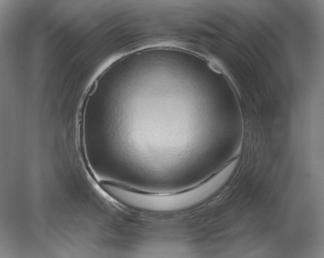 X0000080801151200701021243