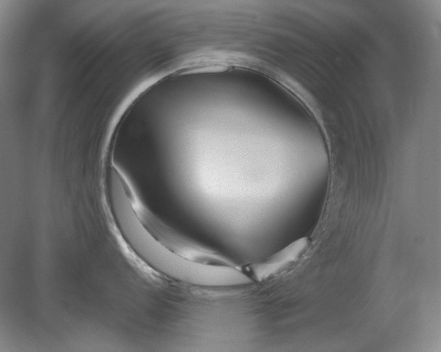 X0000080801152200701021243