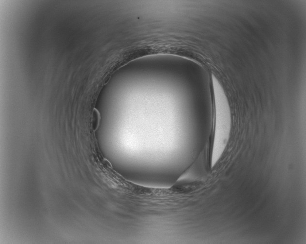X0000080801153200701021242