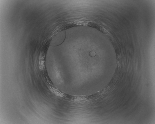 X0000080801154200701021242