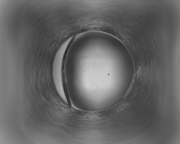 X0000080801156200701021242