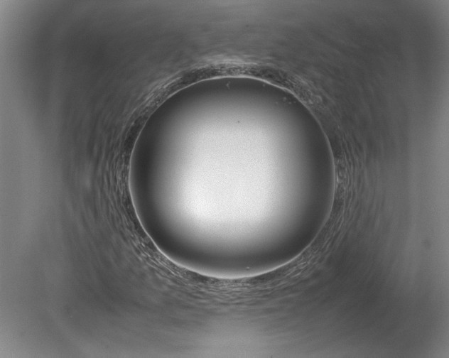 X0000080801157200701021242