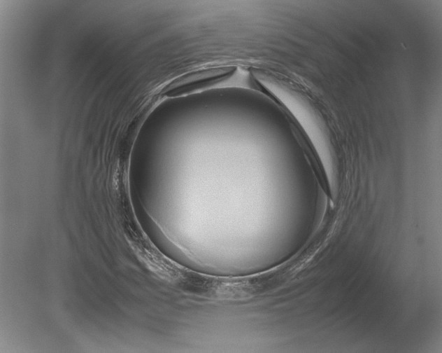 X0000080801161200701021242
