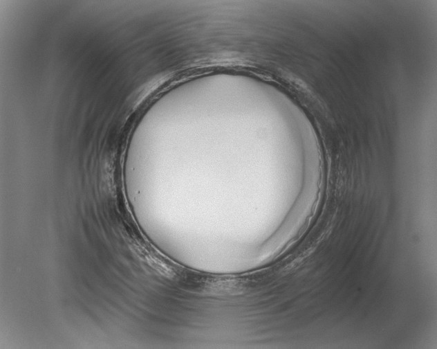 X0000080801162200701021242