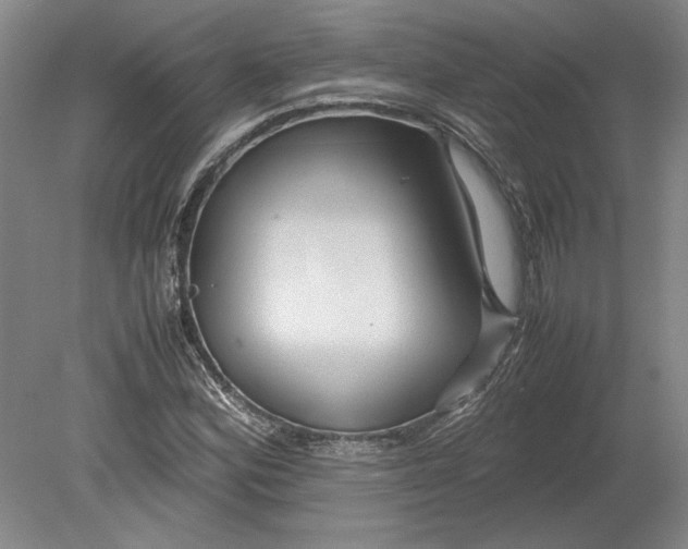 X0000080801164200701021242