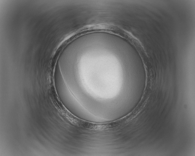 X0000080801166200701021242