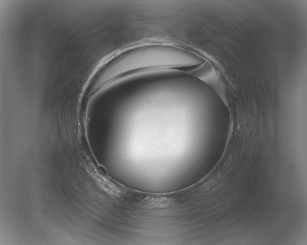 X0000080801168200701021242