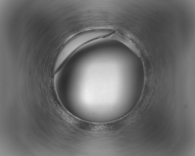 X0000080801169200701021242