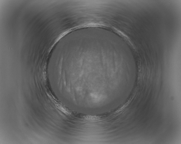 X0000080801170200701021242