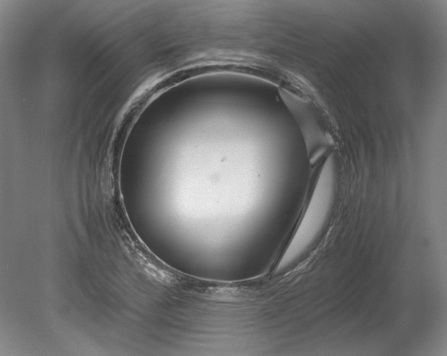 X0000080801172200701021242