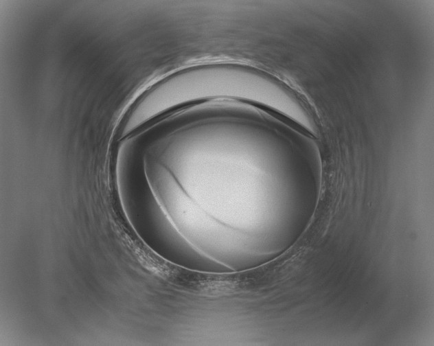 X0000080801173200701021242