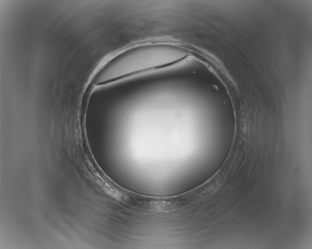 X0000080801176200701021242