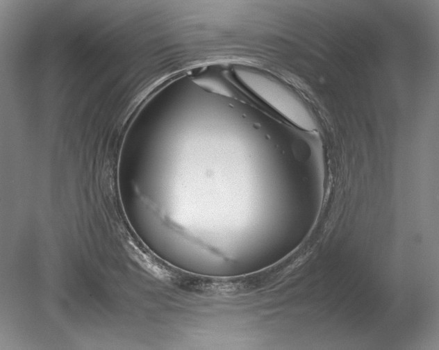 X0000080801177200701021242