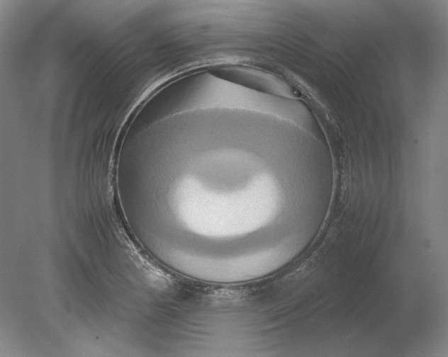 X0000080801178200701021242
