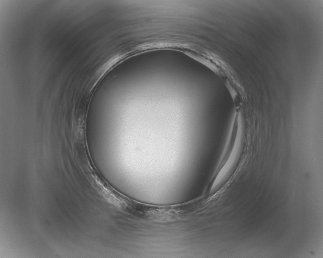 X0000080801185200701021242
