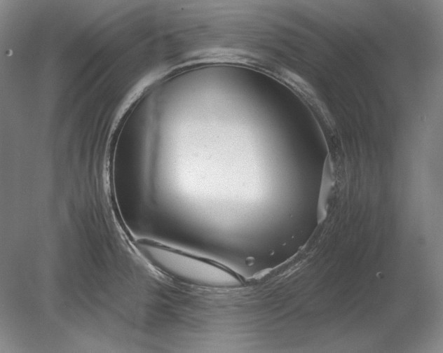 X0000080801188200701021242