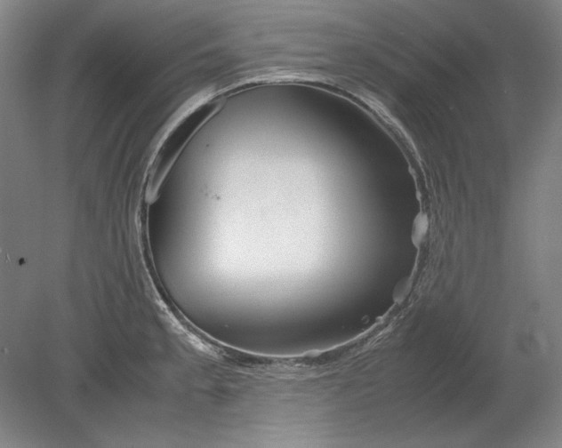 X0000080801189200701021242