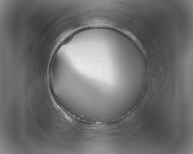 X0000080801191200701021242