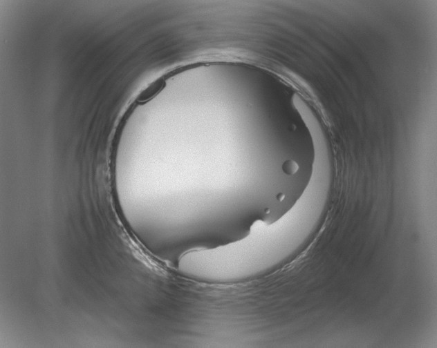 X0000080801192200701021242