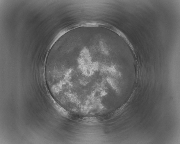 X0000080801194200701021242