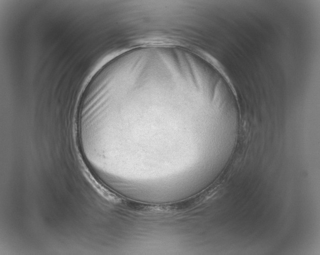 X0000080801195200701021242