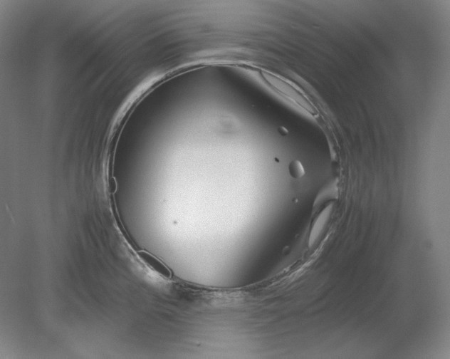 X0000080801196200701021242