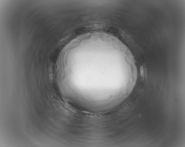X0000080801203200701021241