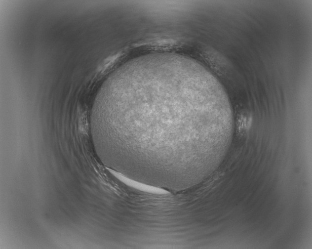 X0000080801204200701021241