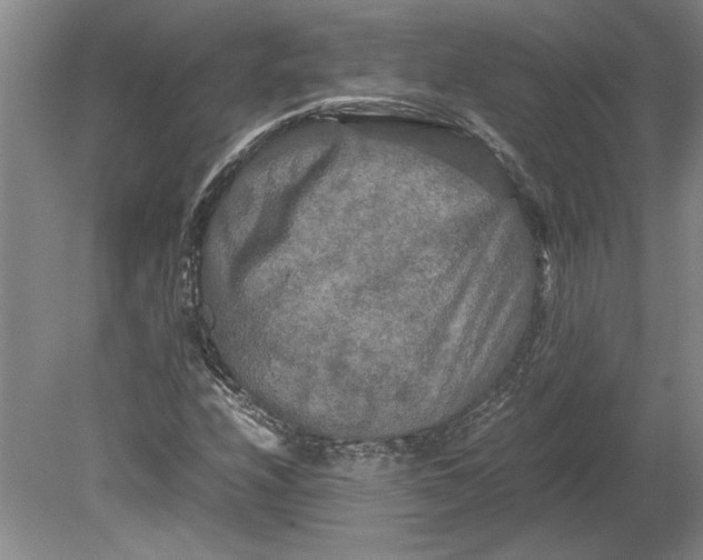 X0000080801208200701021241