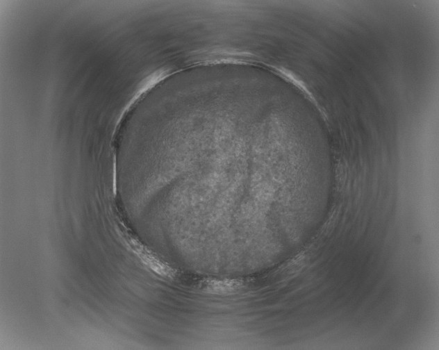 X0000080801219200701021241