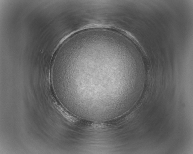 X0000080801220200701021241