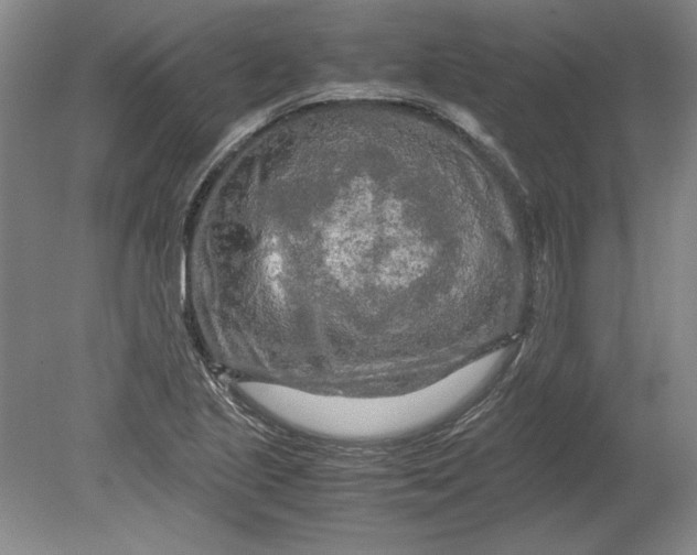 X0000080801221200701021241