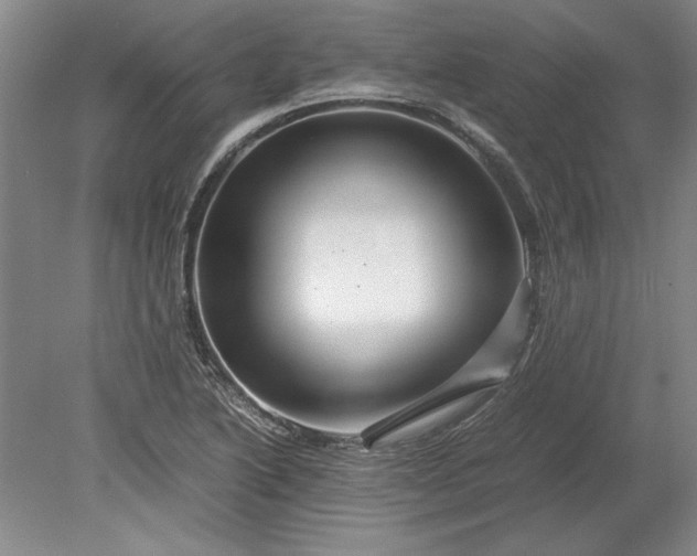 X0000080801222200701021241
