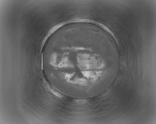 X0000080801223200701021241
