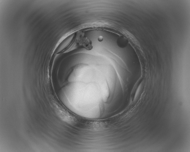 X0000080801226200701021241