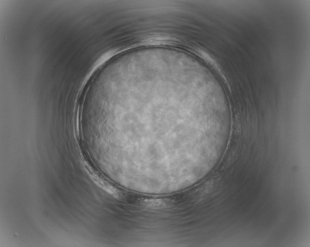 X0000080801227200701021241