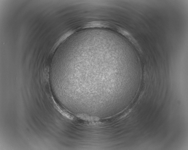 X0000080801233200701021241