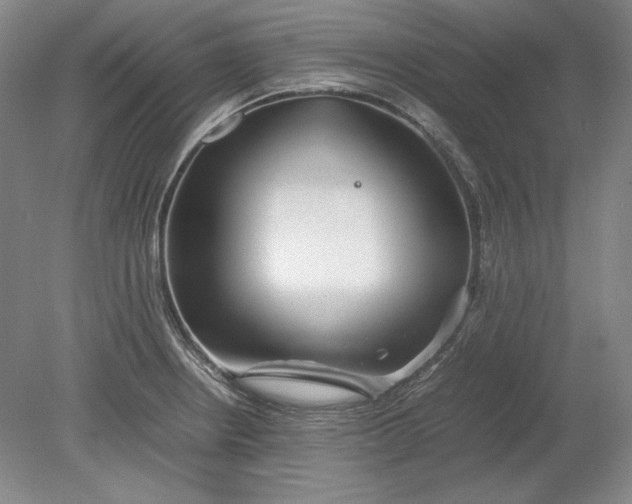 X0000080801234200701021241