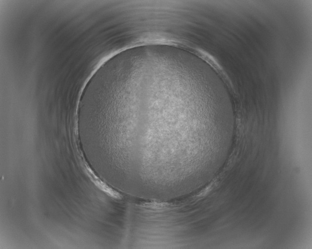 X0000080801236200701021241
