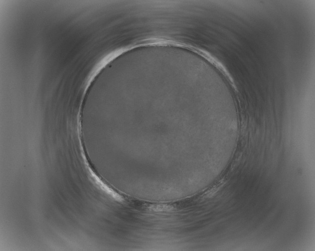 X0000080801239200701021241