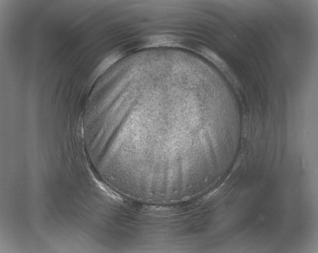 X0000080801241200701021241