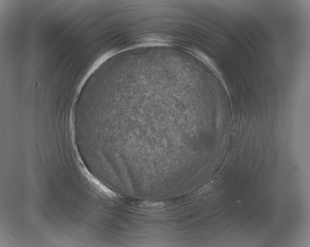X0000080801243200701021242