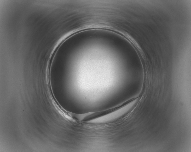 X0000080801246200701021242