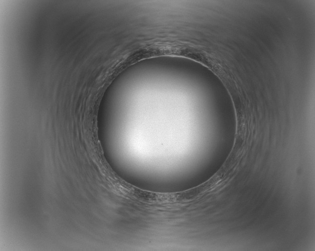 X0000080801249200701021241