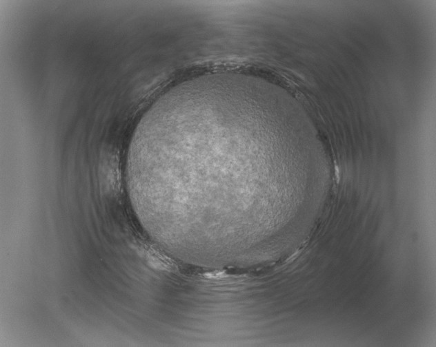 X0000080801252200701021241